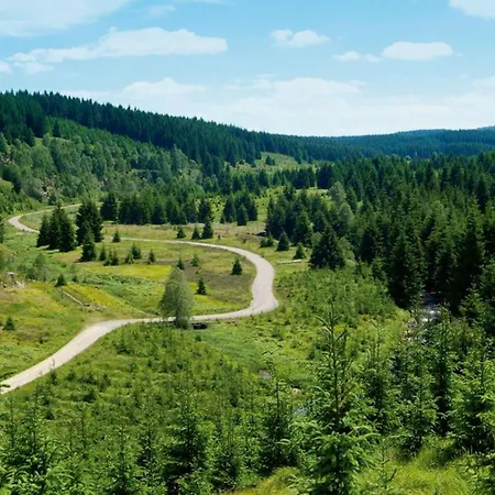 斯瓦尔兹比尔斯查克普珀尔莎酒店 Pobershau