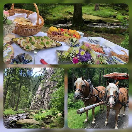 酒店 斯瓦尔兹比尔斯查克普珀尔莎酒店 3*